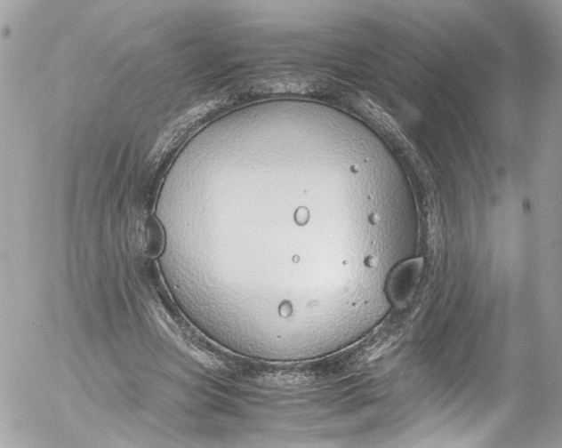 X0000052550537200507221453