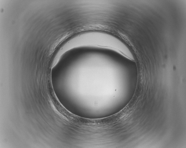 X0000052550538200507221453