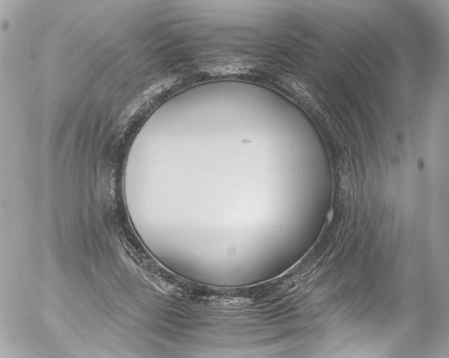 X0000052550539200507221453