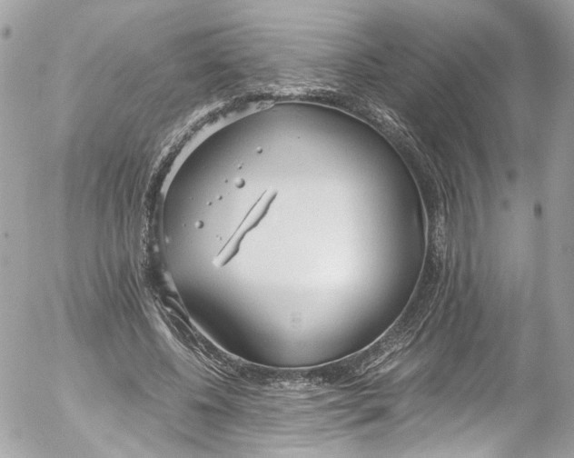 X0000052550540200507221453