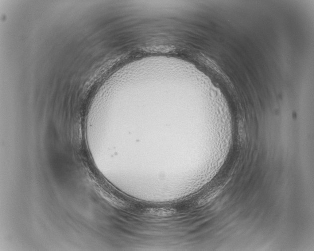 X0000052550541200507221453