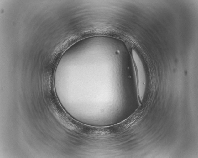 X0000052550542200507221453