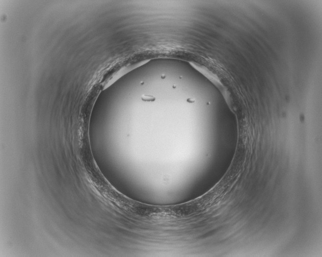 X0000052550544200507221453