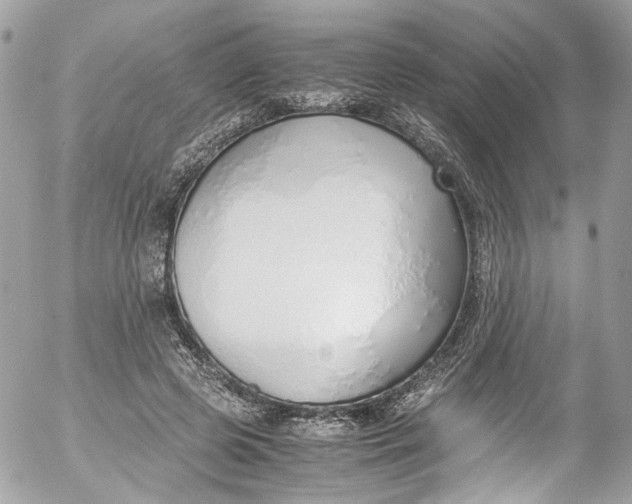 X0000052550545200507221453