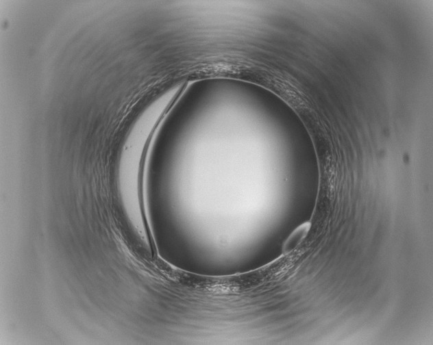 X0000052550546200507221453