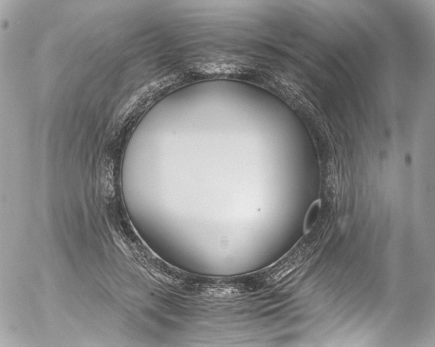 X0000052550547200507221453