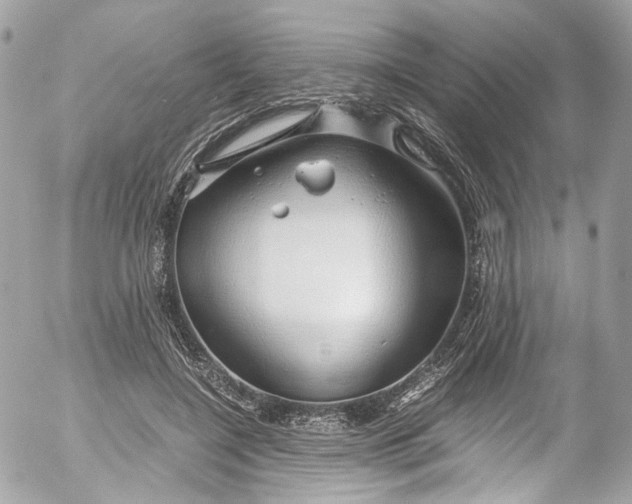 X0000052550548200507221453