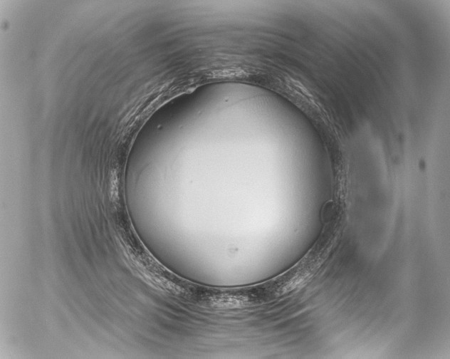 X0000052550549200507221453