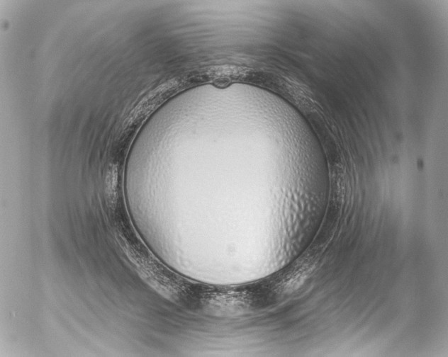 X0000052550550200507221453