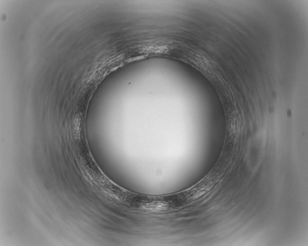 X0000052550551200507221453