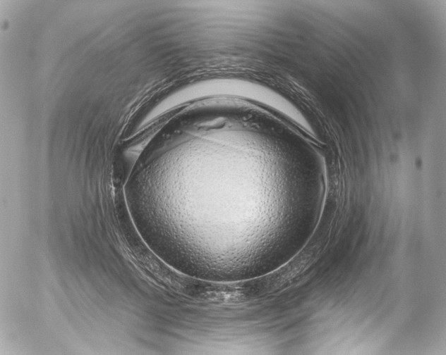 X0000052550552200507221453