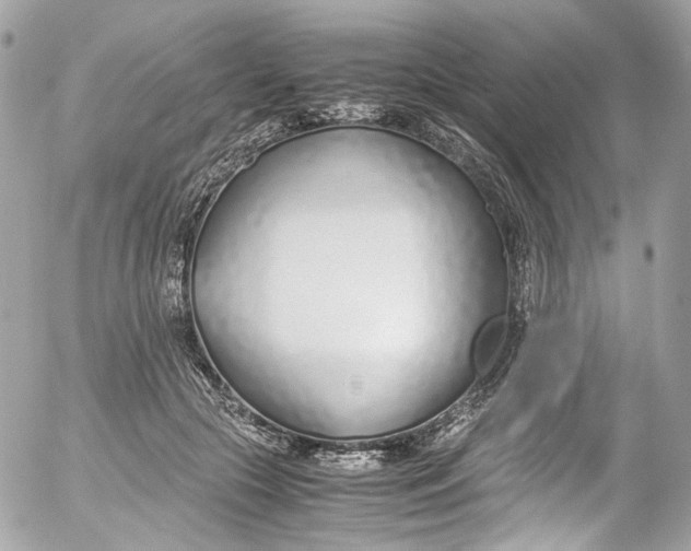 X0000052550553200507221453