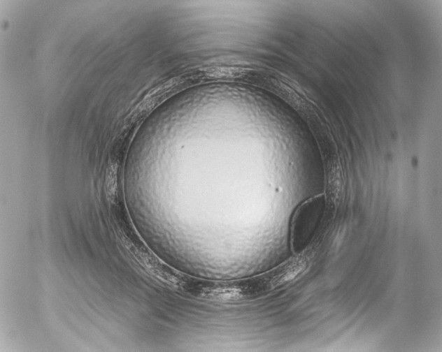 X0000052550554200507221453