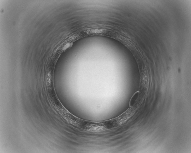 X0000052550555200507221453