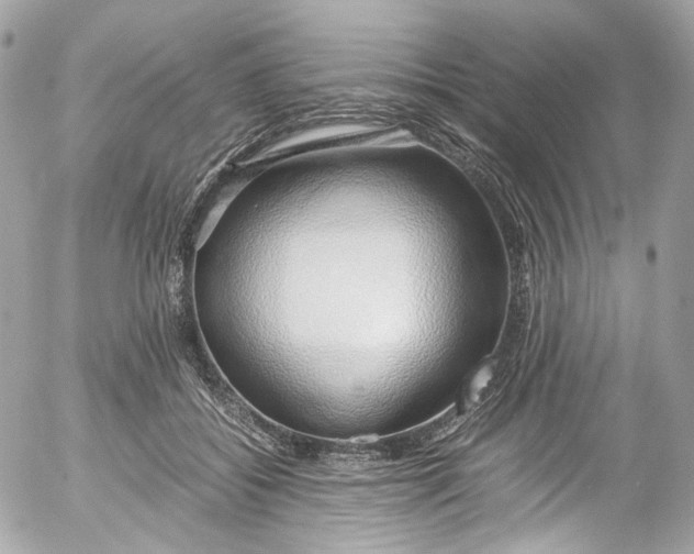 X0000052550556200507221454