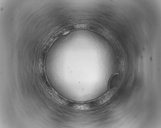 X0000052550557200507221454