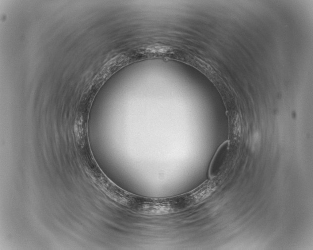 X0000052550559200507221454