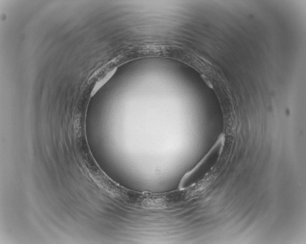 X0000052550560200507221454