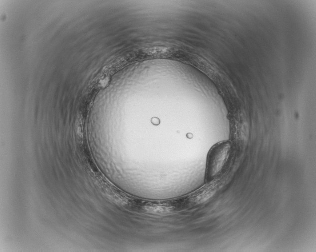 X0000052550561200507221454