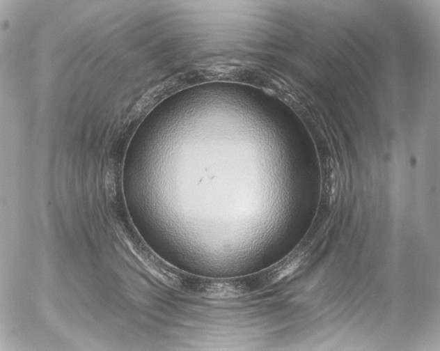 X0000052550562200507221454