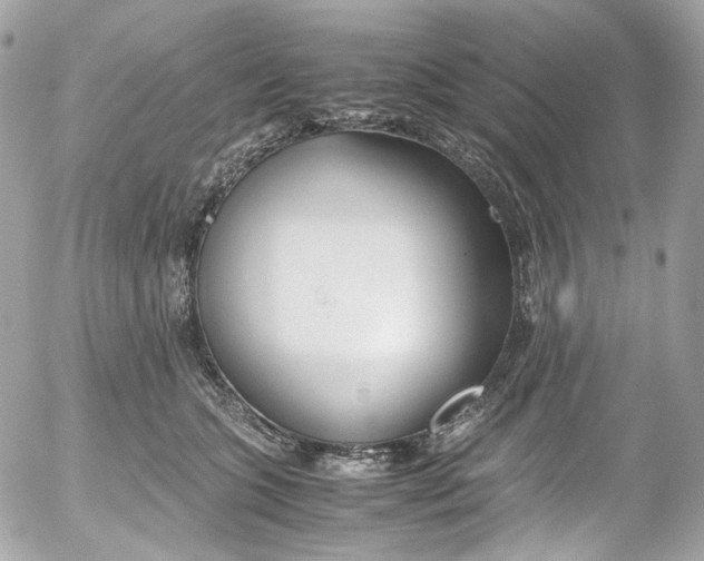 X0000052550563200507221454