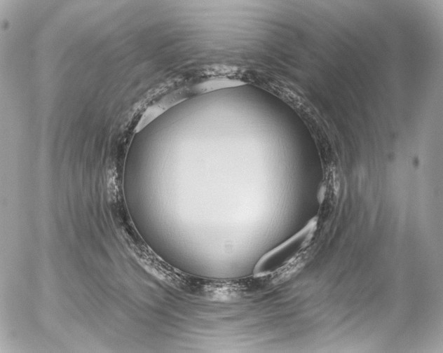 X0000052550564200507221454