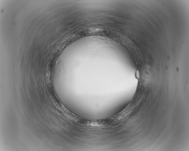 X0000052550565200507221454