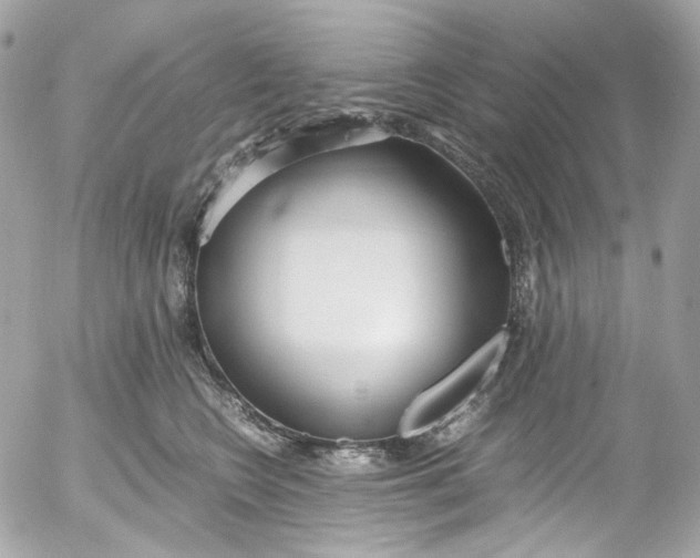 X0000052550566200507221454