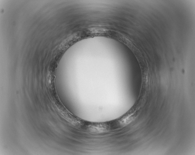 X0000052550567200507221454