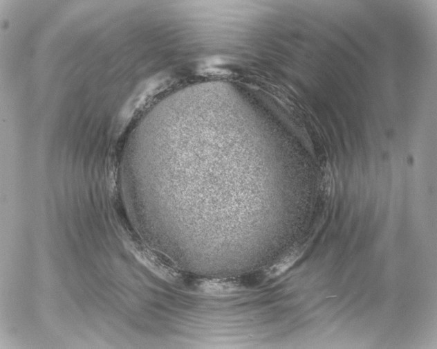 X0000052550568200507221454