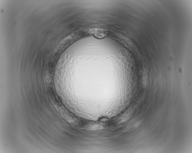 X0000052550569200507221454