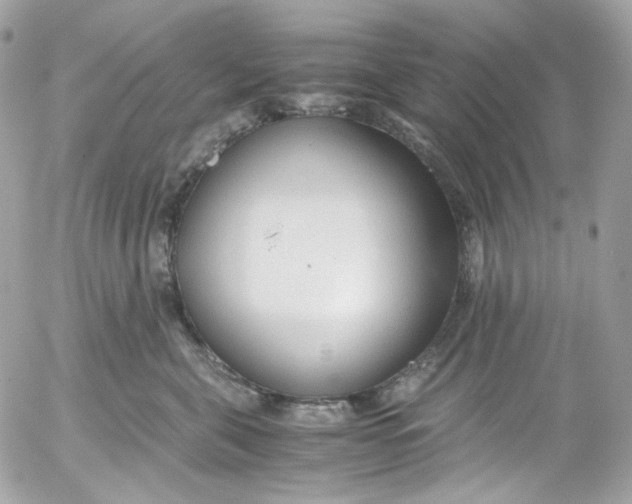 X0000052550571200507221454