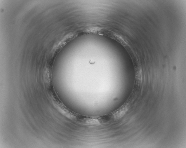 X0000052550572200507221454