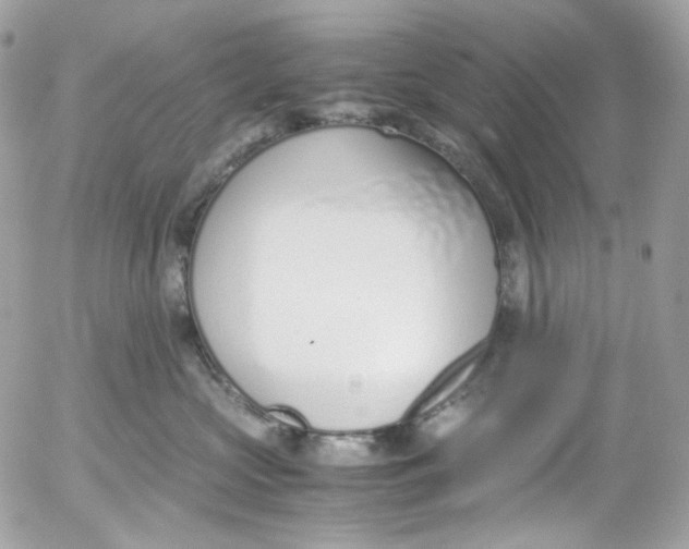 X0000052550573200507221454