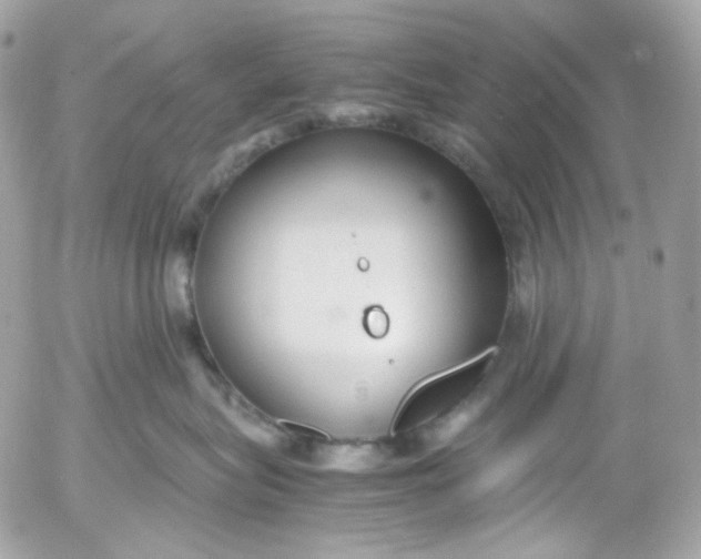 X0000052550575200507221454