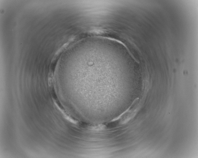 X0000052550576200507221454