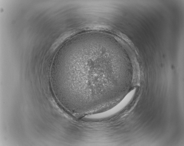 X0000052550577200507221453