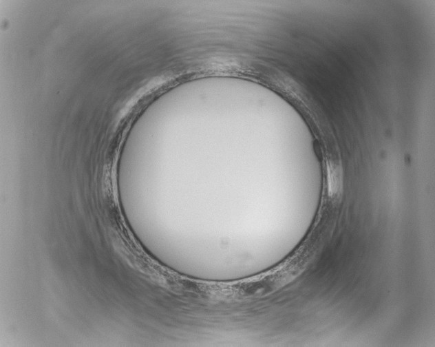 X0000052550579200507221453