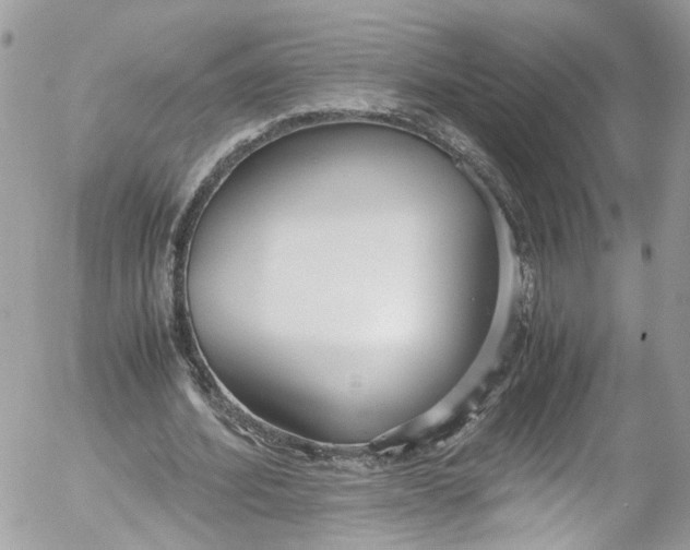 X0000052550580200507221453