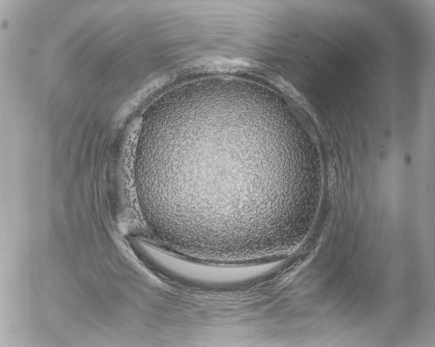 X0000052550581200507221453