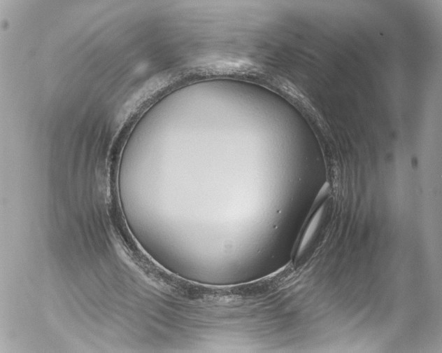 X0000052550582200507221453