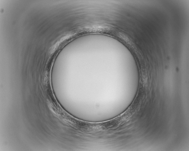 X0000052550583200507221453