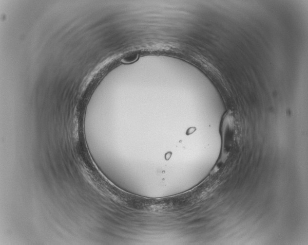 X0000052550584200507221453