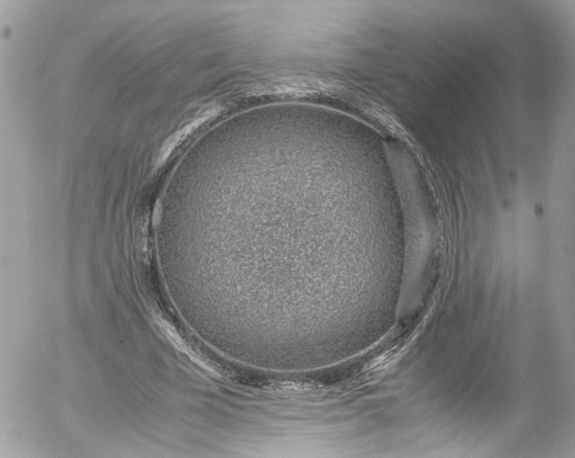 X0000052550585200507221453