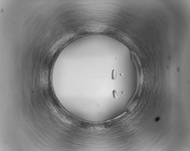 X0000052550586200507221453