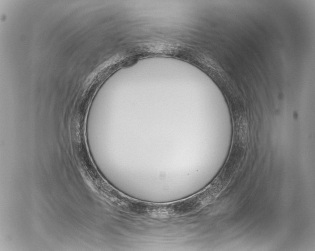 X0000052550587200507221453