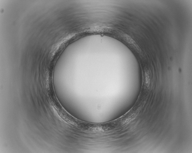 X0000052550588200507221453