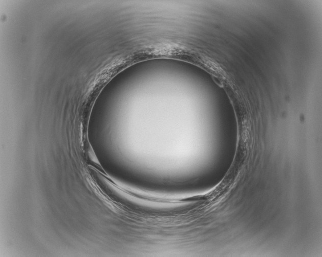 X0000052550589200507221453