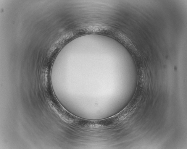 X0000052550590200507221453