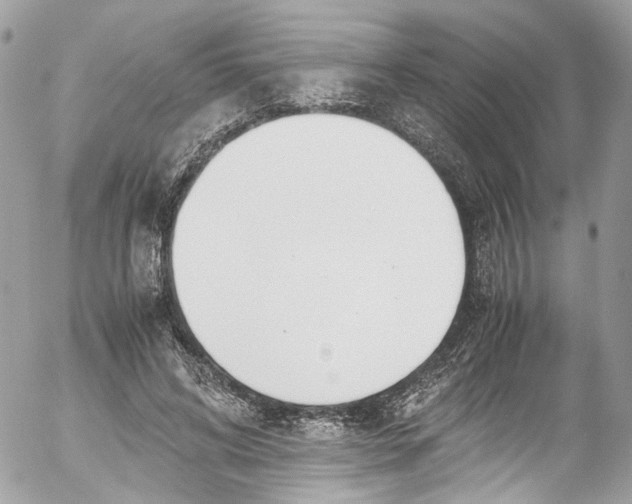 X0000052550592200507221453